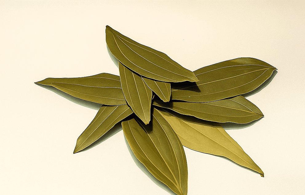 Bay Leaf