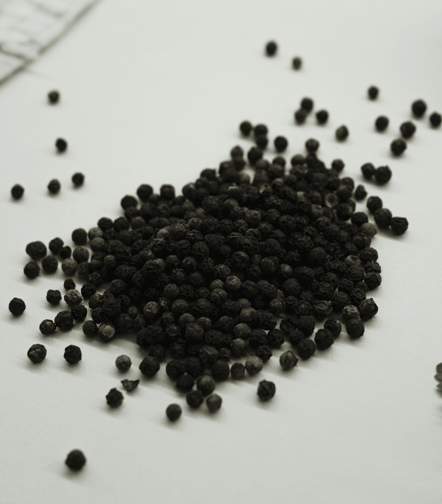 Black Pepper